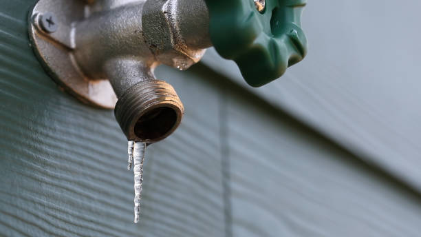 Best Plumbing Services Near Me  in Carnegie, OK